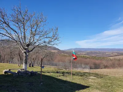 Къща за гости Релакс