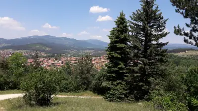 Къща Пейчеви