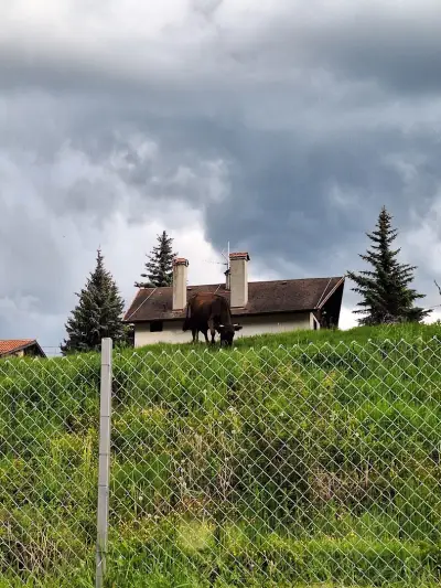 VILLA IRINA - Govedartsi