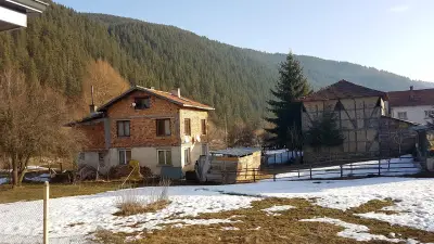 Лакатица