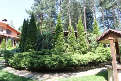 Luxury Villa Borina
