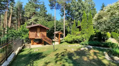 Luxury Villa Borina