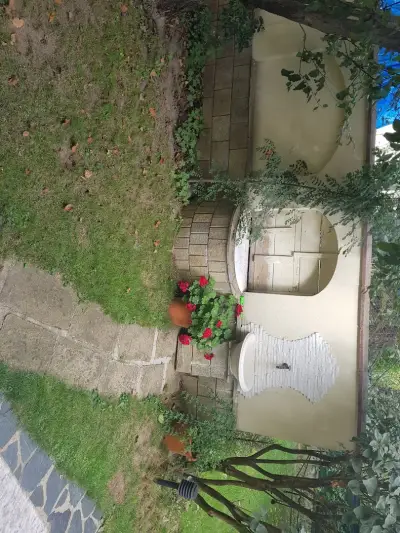 Urban House