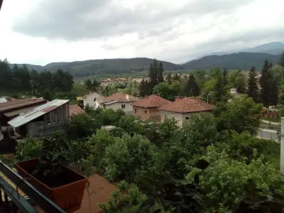 Таня