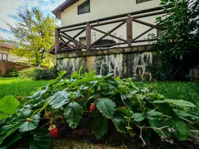 Algarte Guest House