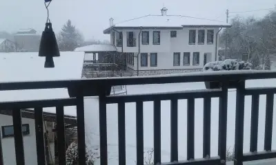 Вила Борика