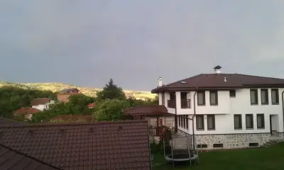 Вила Борика
