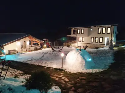 Вила Борика