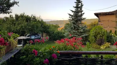 Старата Вила