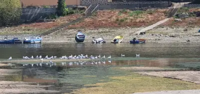 хижа "Приста"