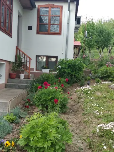 Вила Радо Село Ветрен