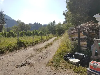 Вила Панчо