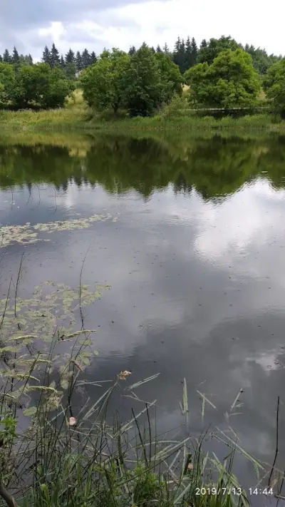 Вила Панчо