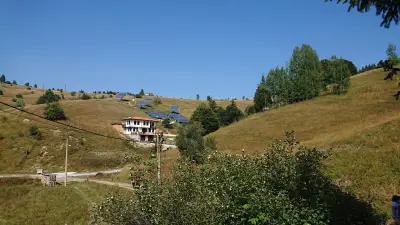 Къщата с маковете