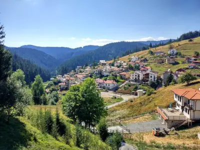 Къщата с маковете
