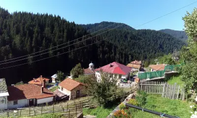 Къща за гости „Милушеви“