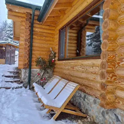 Вила Брезите