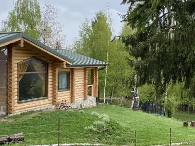 Вила Брезите
