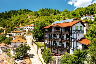 The Pine Levochevo - Guesthouse and Coworking space