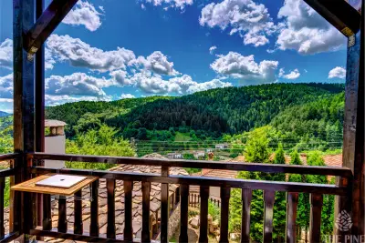 The Pine Levochevo - Guesthouse and Coworking space