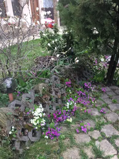 Къща за гости Елизабет