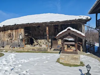 Самостоятелни Стаи Цветина