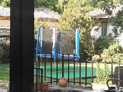 Ивовата къща