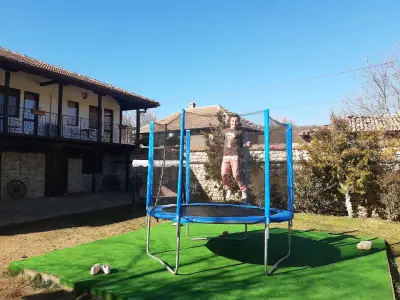 Ивовата къща