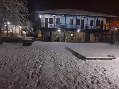Ивовата къща