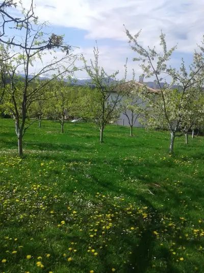 Бяла спретната къщурка