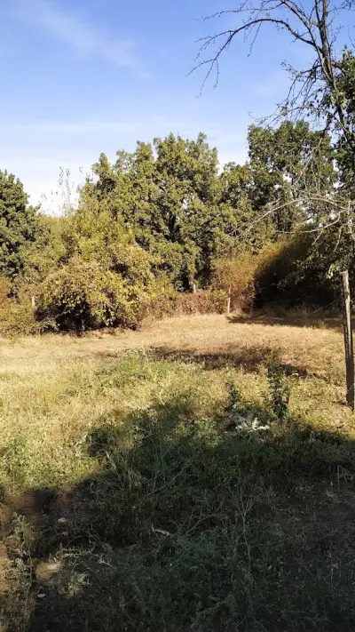 Къща за гости Тръсттеник