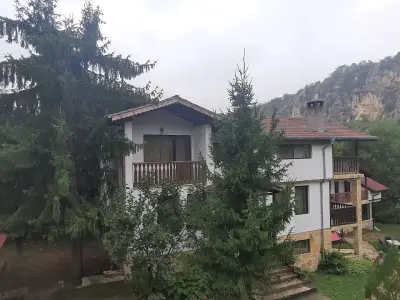 Neda's House