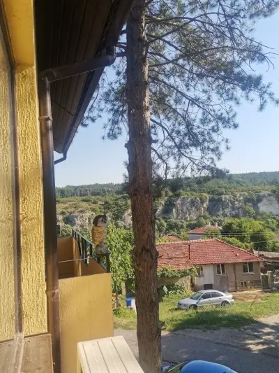 Къща за гости Авлига