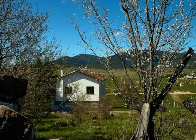 Kassandrov Guest House Ravnogor/ Касандрова къща Равногор