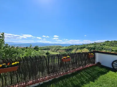 Гикинска къща