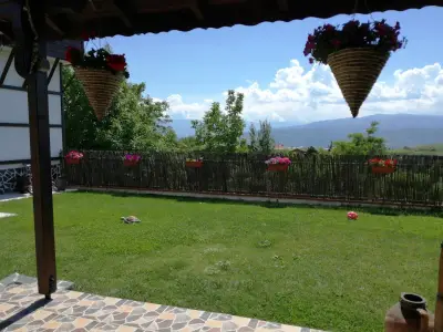 Гикинска къща