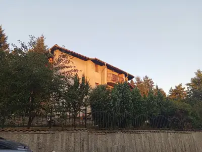 Вила Понтика