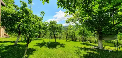 Къща за Гости Арония