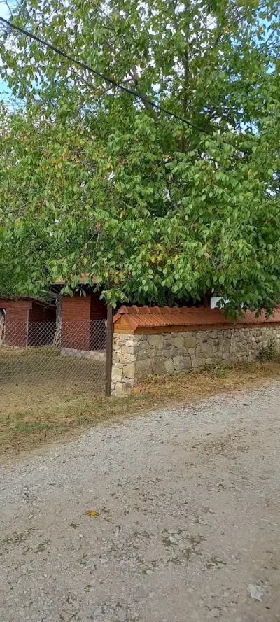 Бащината къща