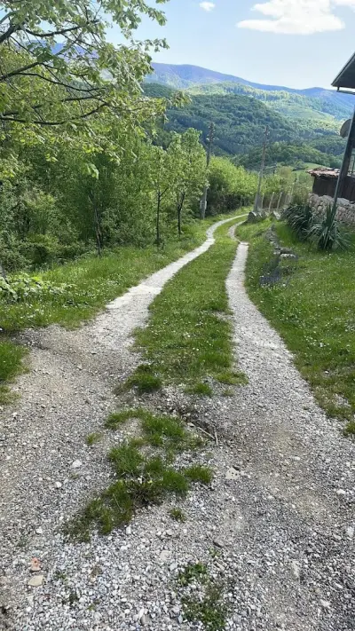 Къща "Брезите"