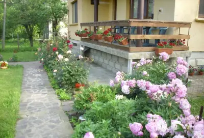 Villa Ribarica