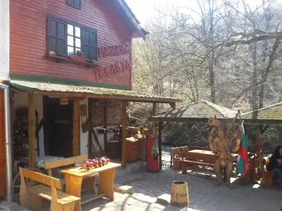 Villa Ribarica