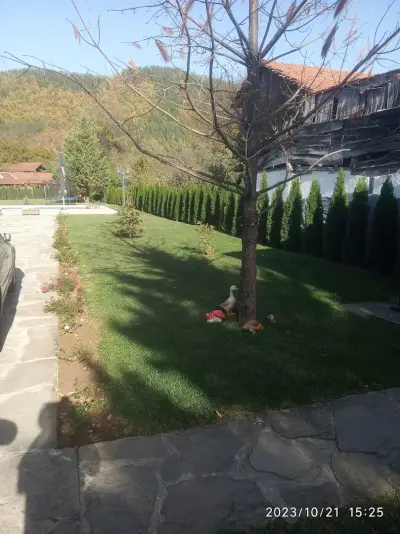 Даскаловата Къща