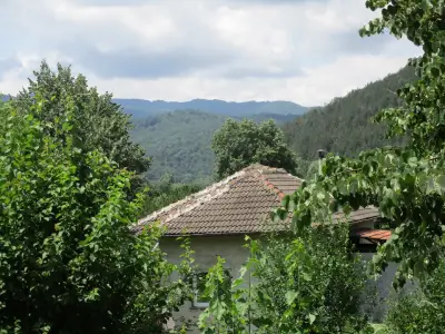 КЪЩА ЗА ГОСТИ ЛУИЗА