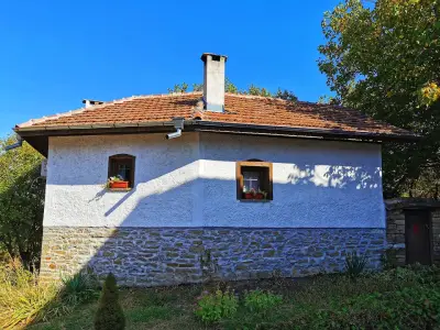 Tanya's House