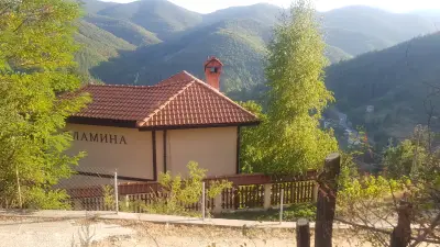 Къща за гости "Пламина'