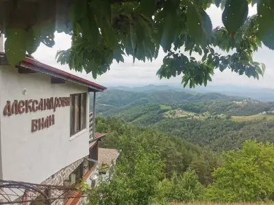Александрова вила 1