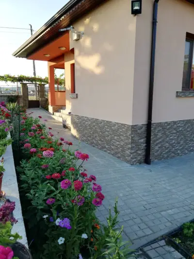 Петьовата къща