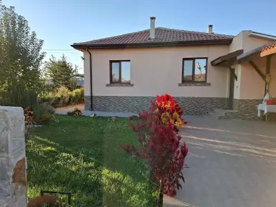 Петьовата къща