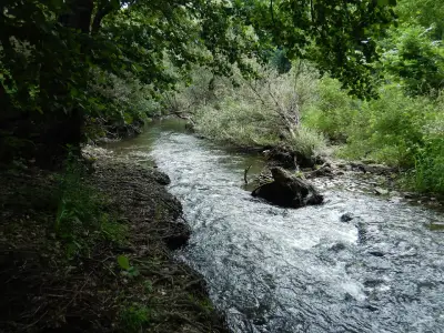 Къща за Почивка "Дика-Палас" с.Бероново